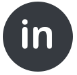 Linkedin Icon