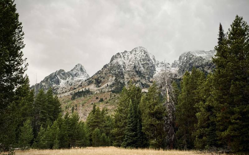 Teton Pass in winter, Wyoming