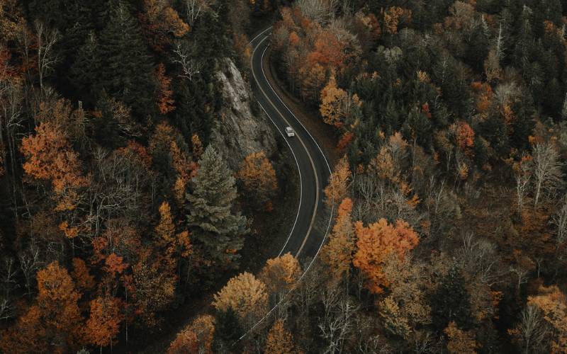 Blue Ridge Parkway in Fall, Virginia