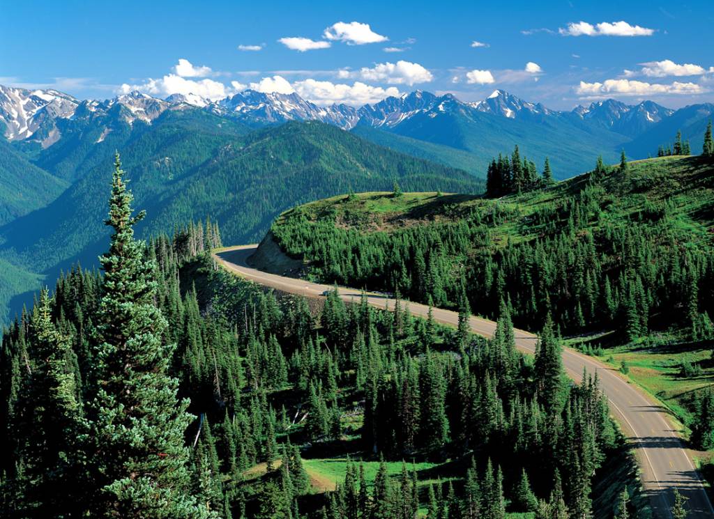 Olympic Peninsula Loop in summer, Washington